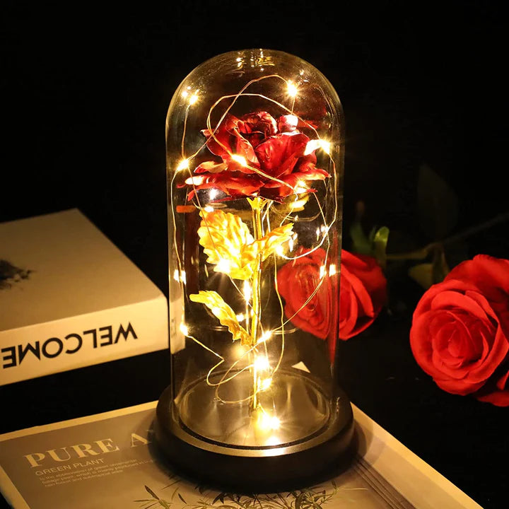 Eternal Rose